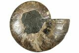 Cut & Polished Ammonite Fossil (Half) - Madagascar #308618-1